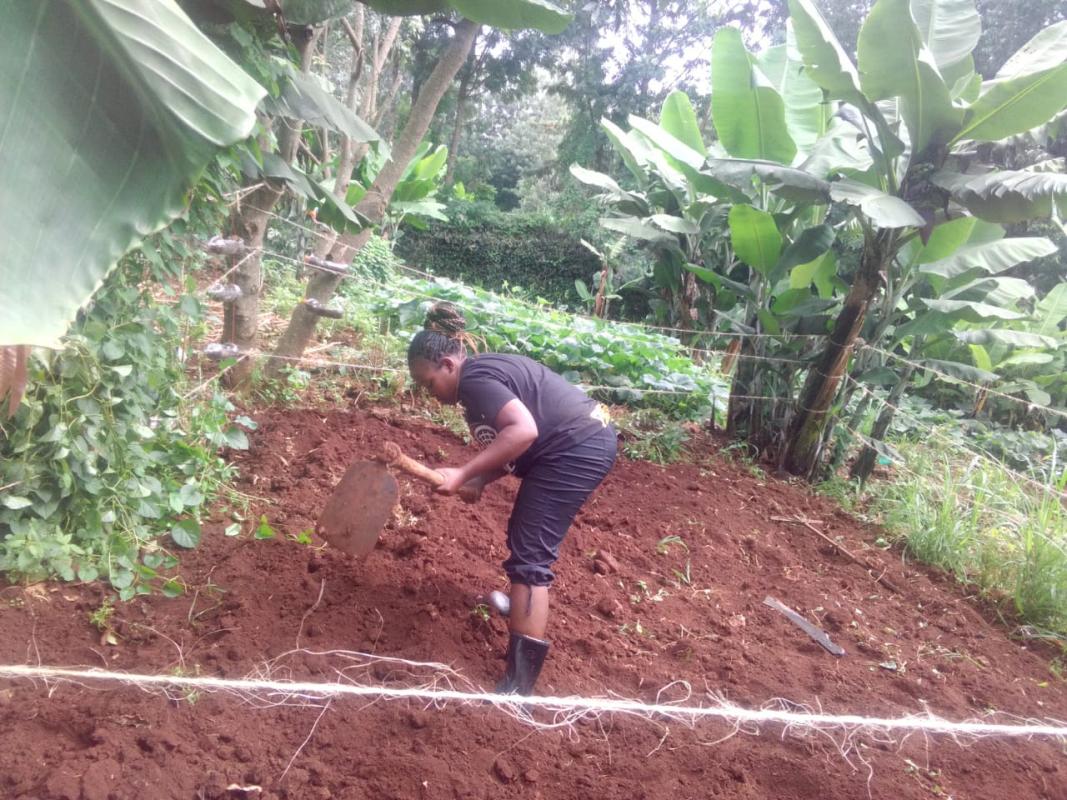 FOOD FOR LIFE  PROJECT PHASE 1-KENYA