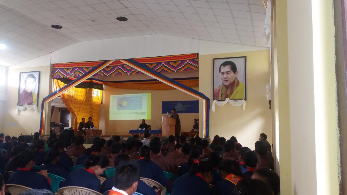 Celebration of international peace day