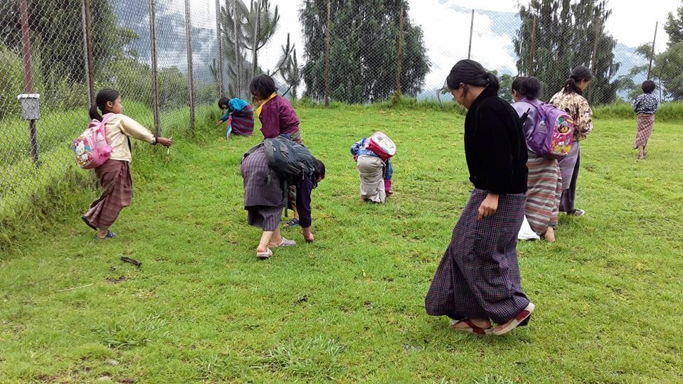 Cleaning Campaign