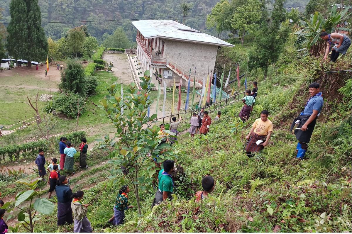 Clearing for cardamom plantation in Beteni primary school