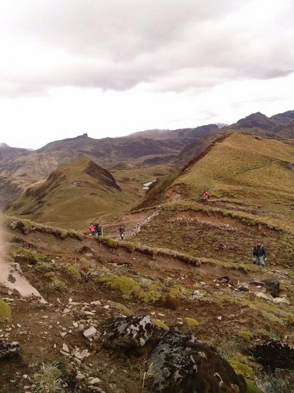 CONSERVANDO LA NATURALEZA 2014