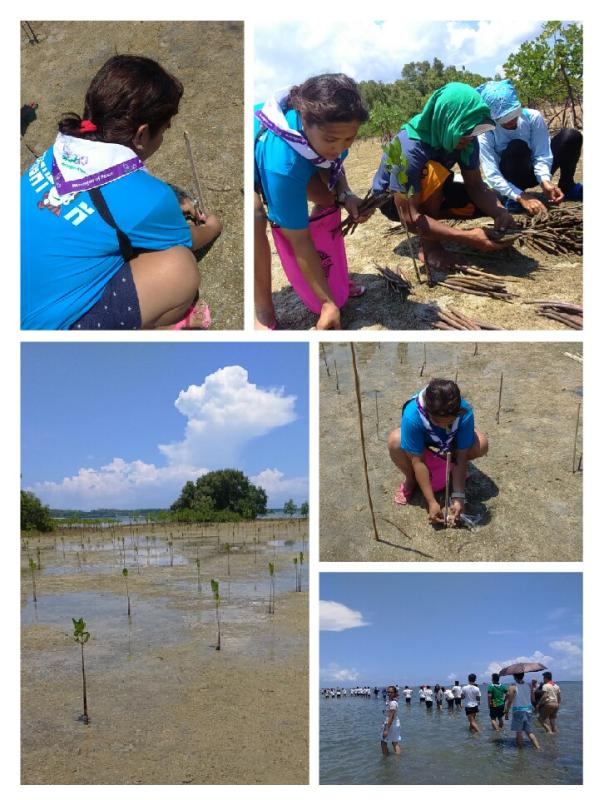 Mangrove Tree Planting of Brighton and Roosevelt College, Philippines 