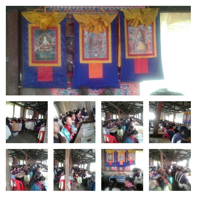 Prayer for the Sentient Beings