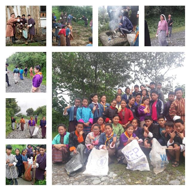 Cleaning for Greening