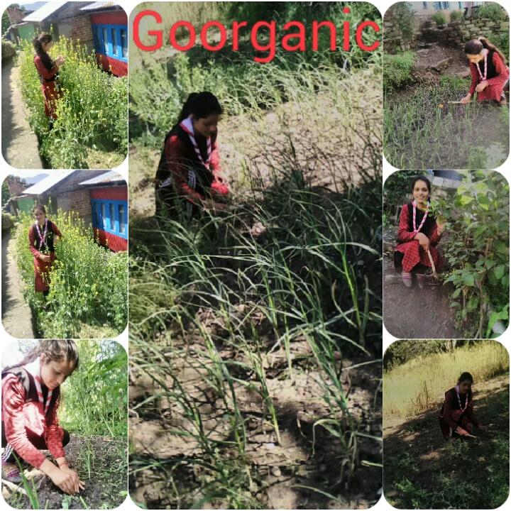 #GoOrganic