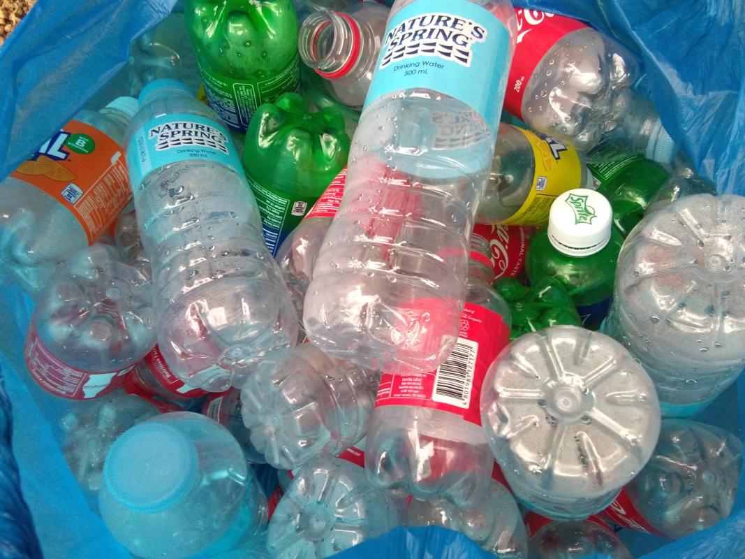 COLLECTING BOTTLES FOR BESO PROJECT- Christmas Decorations