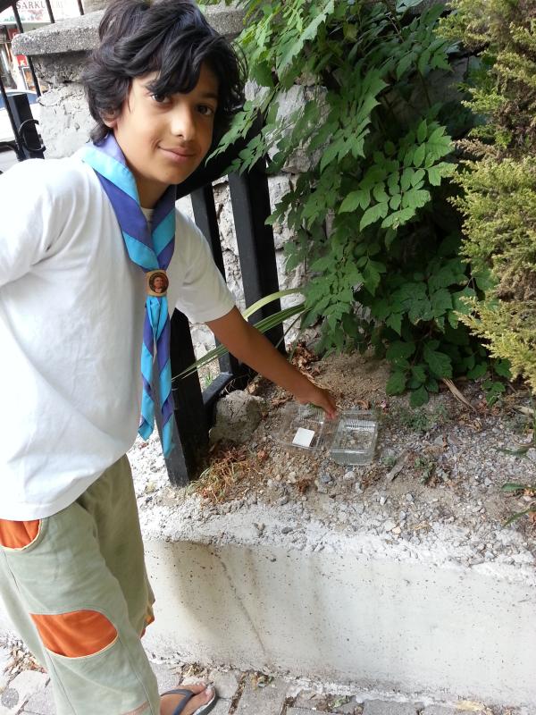 July the 08th, 2014 - What can I do, Today ?