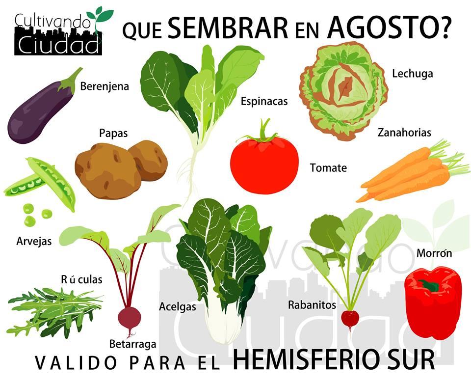 estuve investigando sobre que temporada es la mejor para cultivar ciertos vegetales y Hortalizas. 