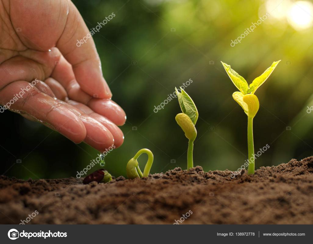 Save Forest Save Life