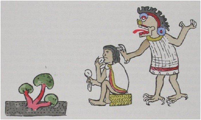  “Fungí cultura en la Nopalera”