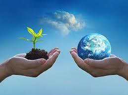 LIFE ON LAND: OUR ENVIRONMENT MATTERS