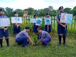 Tree plantation programme