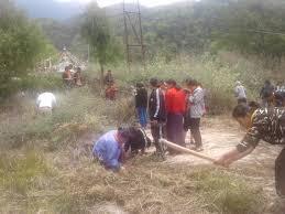 maintenance of tree saplings