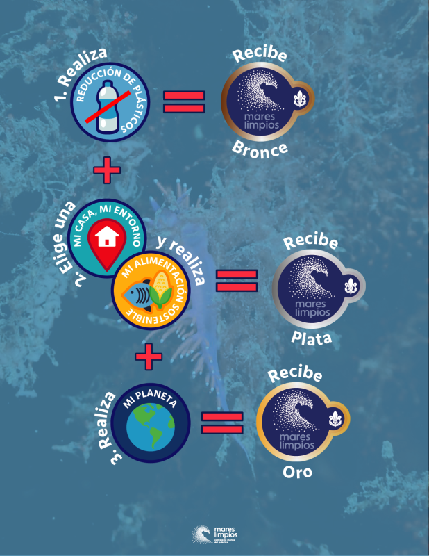 Reto Mares Limpos Bronce