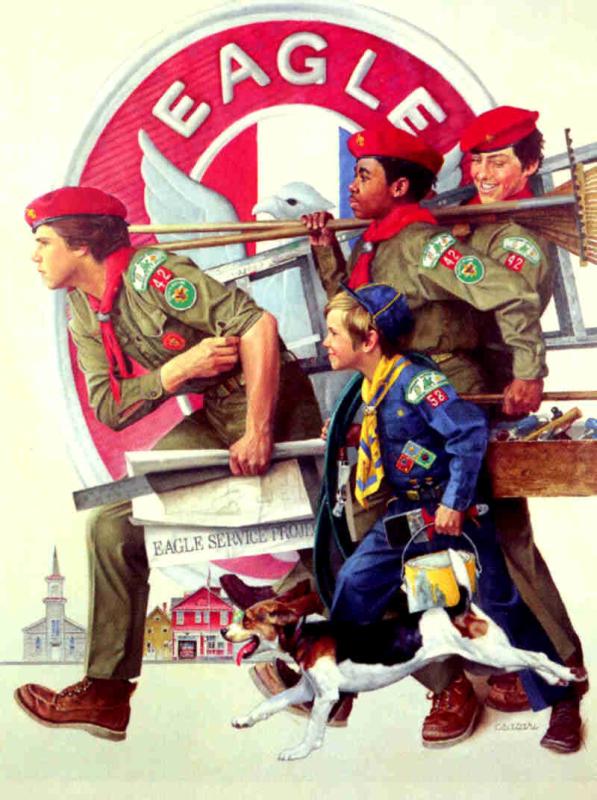 Boy Scouts of America 2012 Complementary Projects