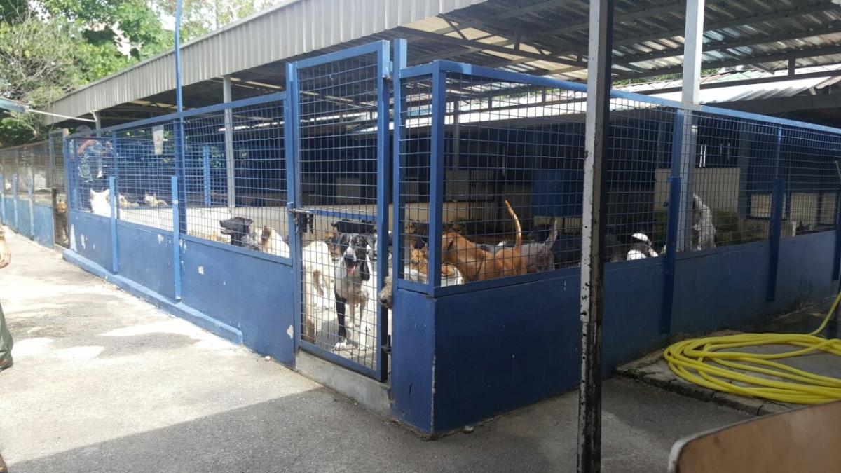 Aaron's Good Deeds at fav volunteering place