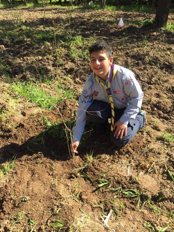 CAP '19 CCC : activity 05 / 10 : " PLANT "