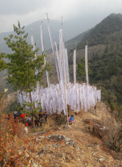 Hosting Thousand Flags