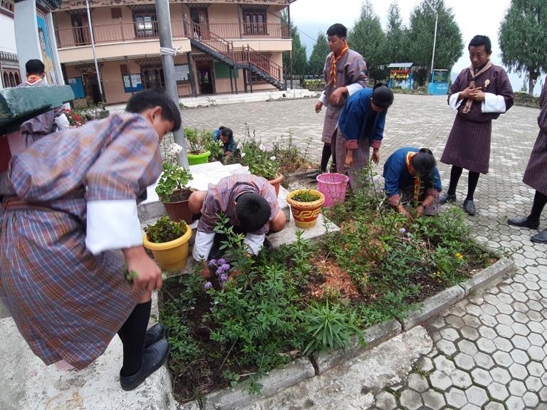Flower garden by scouts