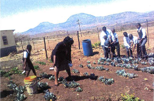 Food for Life in KZN