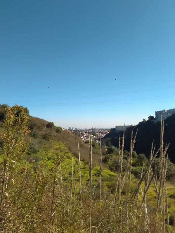 Sin Barranca no hay Ciudad