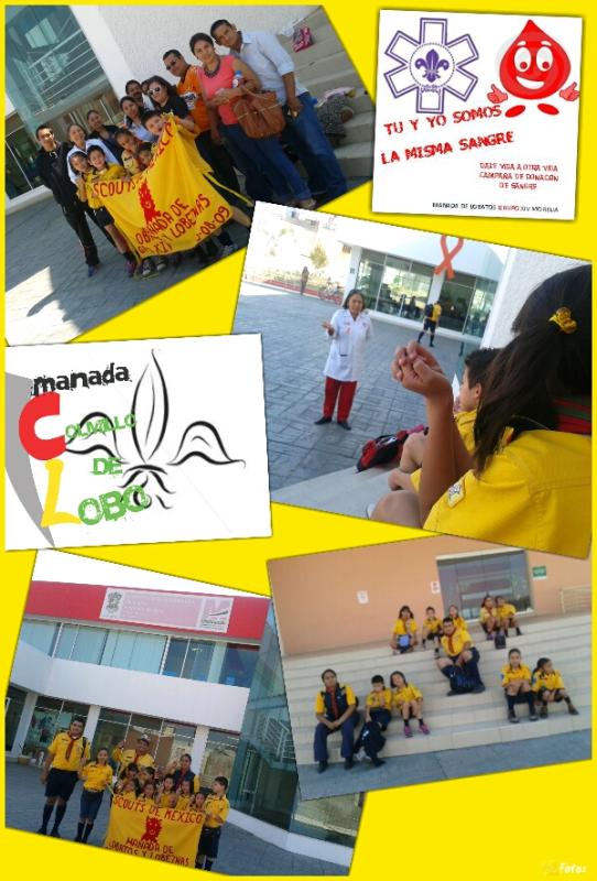 TU Y YO SMOS DE LA MISMA SANGRE(CAMPAÑA DE DONACION DE SANGRE