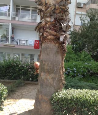 July the 19th, 2014 - What can I do, Today ?