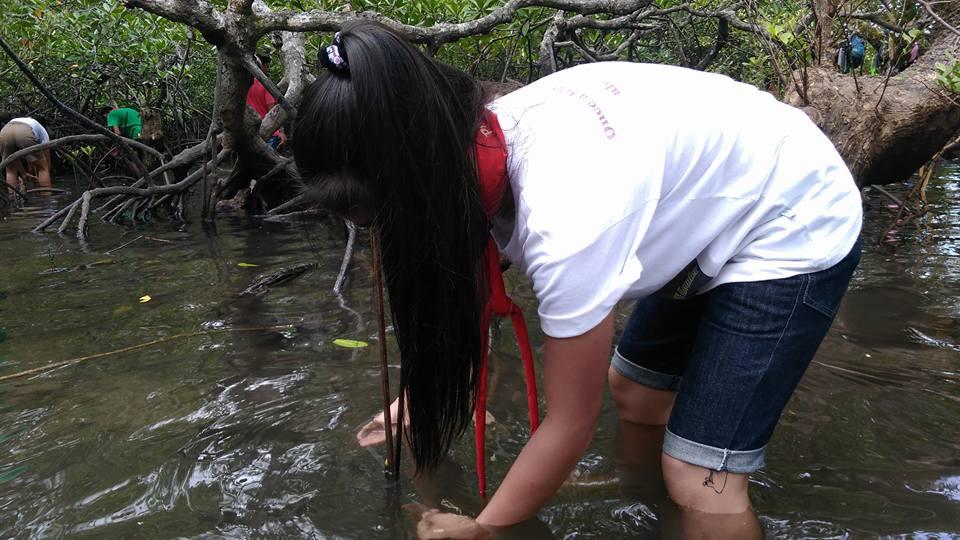 Environmental Care
