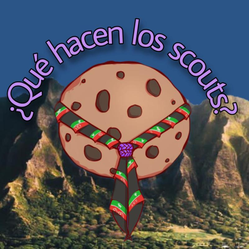 ¿Qué hacen los scouts?