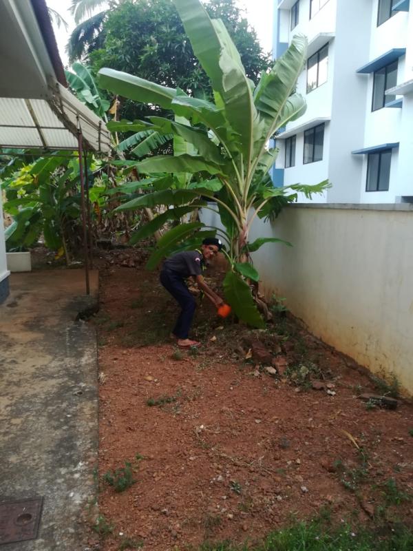 [B] Environment & Sustainability #goorganic