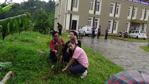 GREEN MIZORAM DAY 11TH JUNE 2015