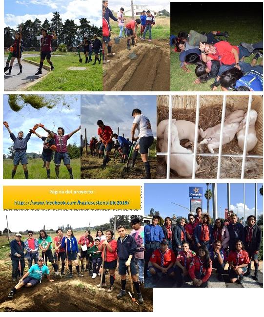 Hazlo Sustentable 2019