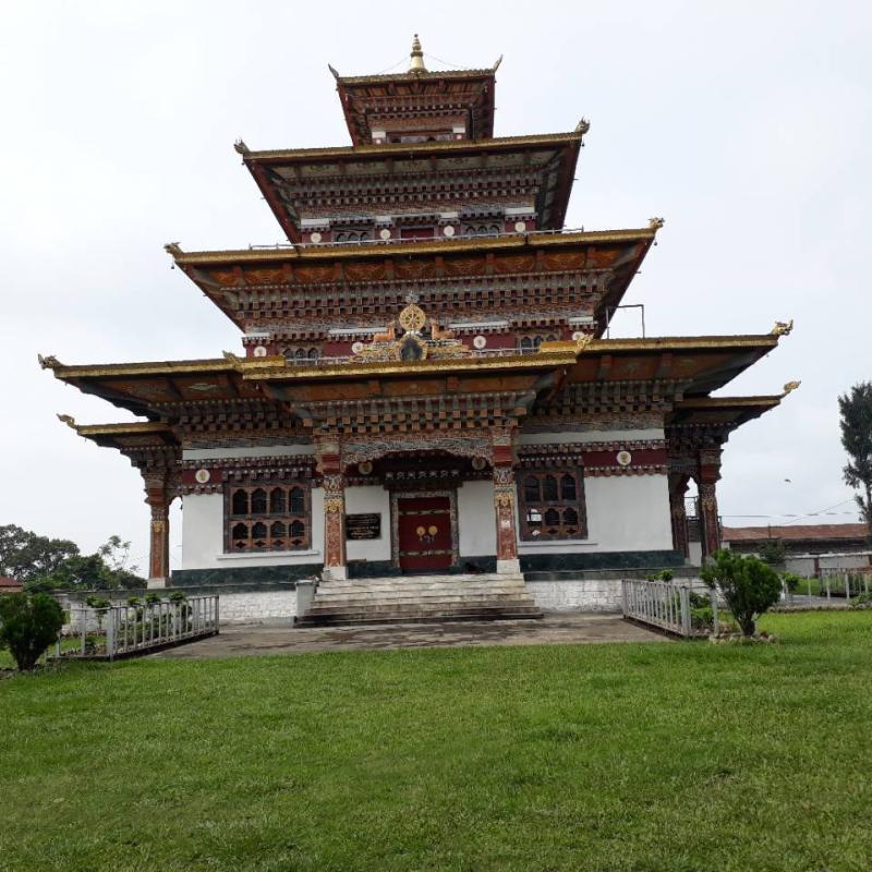 Adoption of Zangdopelri