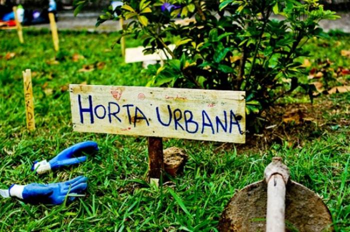Projeto de horta comunitária TBZ