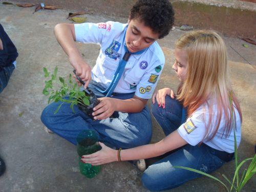 HORTA NA ESCOLA