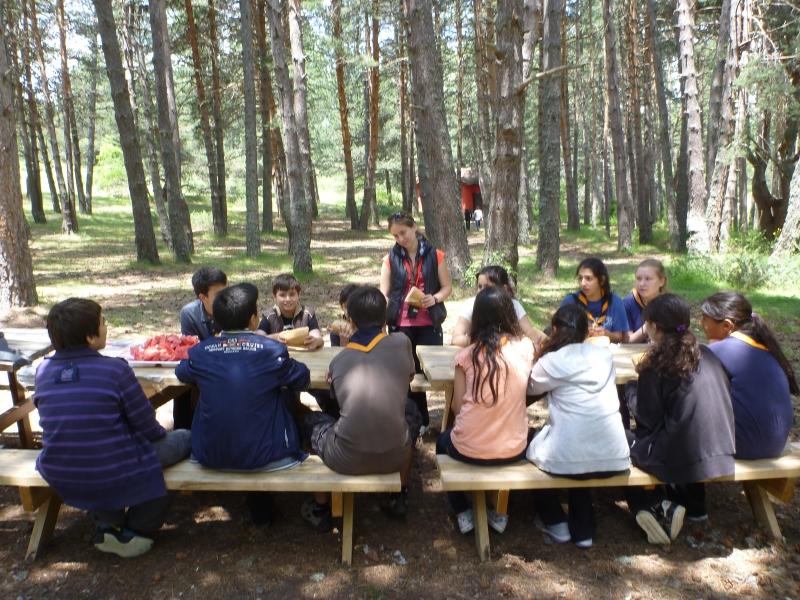 NUTRITION CHALLENGE BADGE  FAO – WAGGGS – WHO – WOSM