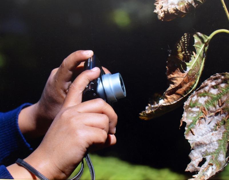 Tomando imagenes, creando conciencia.