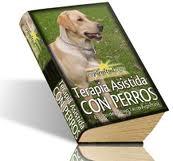 Service paws