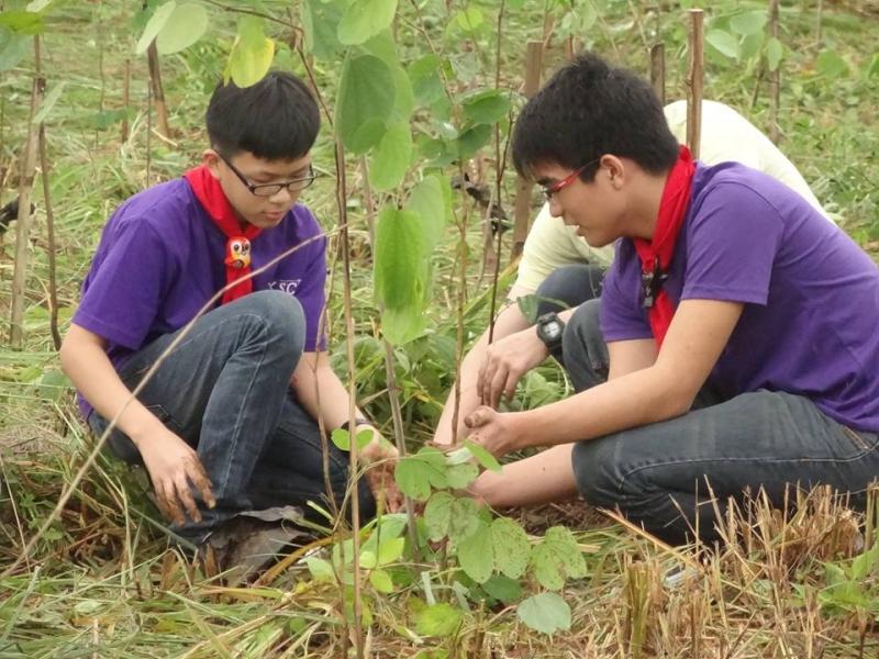 CKSC Scouts joins Tree Planting
