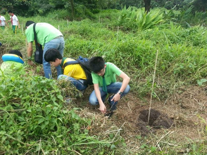 CKSC Scouts joins Tree Planting