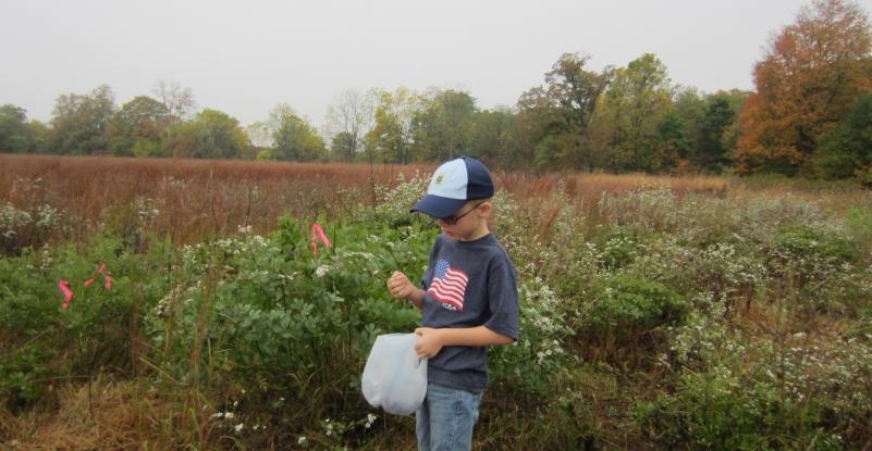 Gathering Native Wildflower Seeds with the DNR