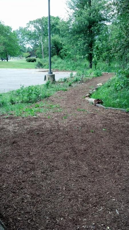Troop 1629 Service Project for Royal Oak Nature Society