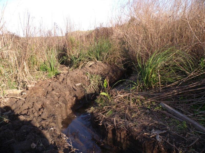 Servicio Ribera Norte