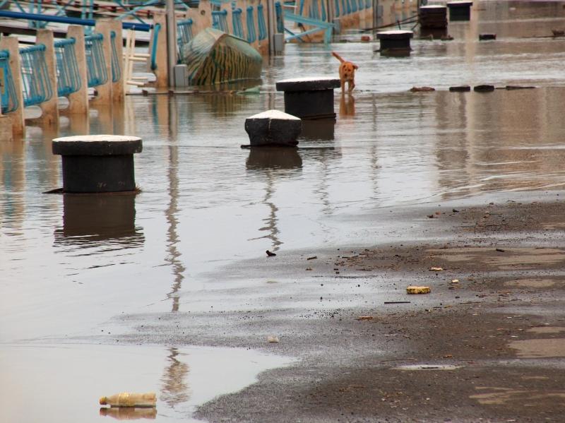 Les Scouts aident après les innondations