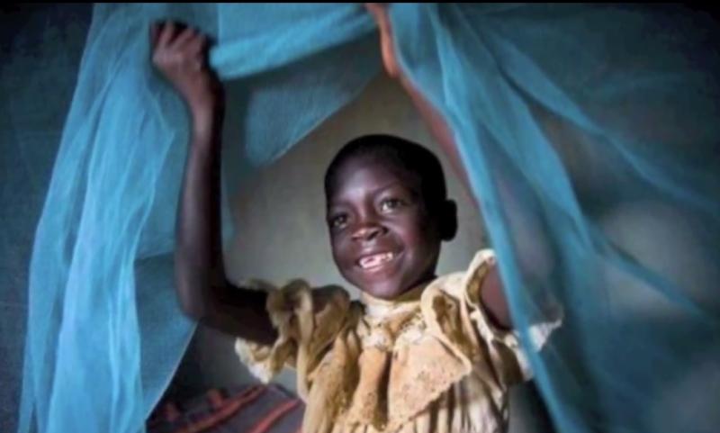 Tiada Lain Kecuali Jaring