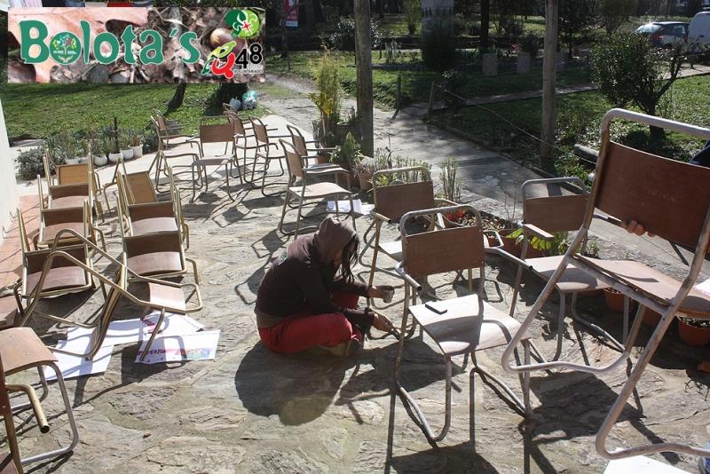 Bolota´s 2013 / acorn 2013