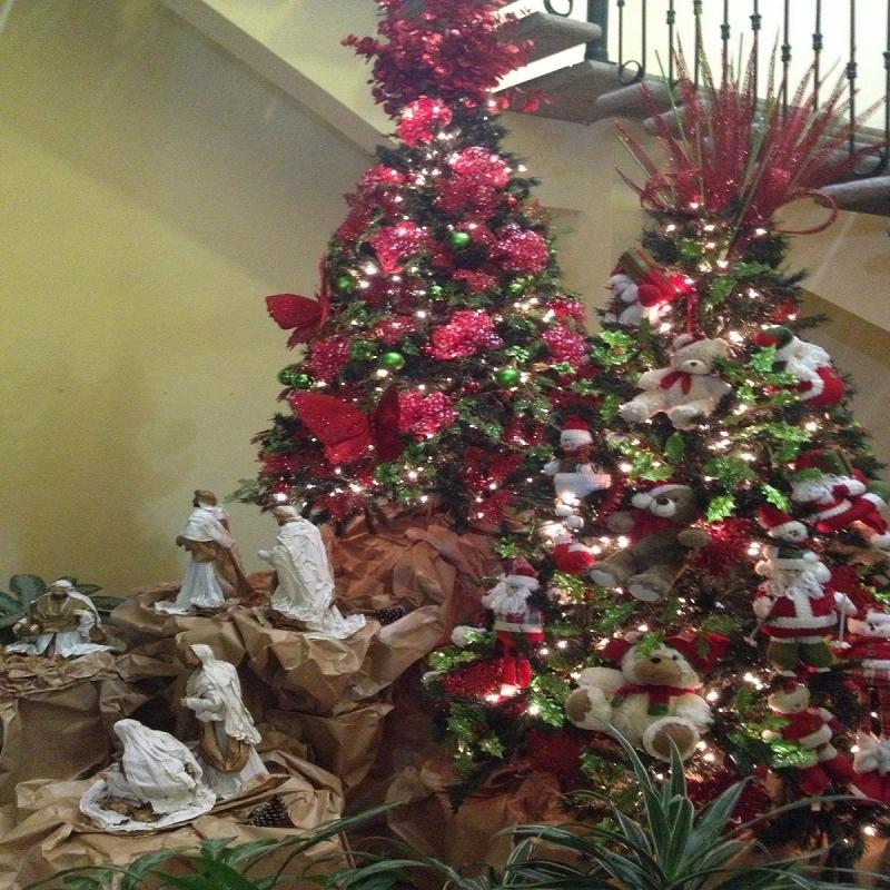 Navidad Guía 2012 "Un Sueño de Navidad"