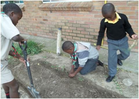 Siyanakekela “We care” 