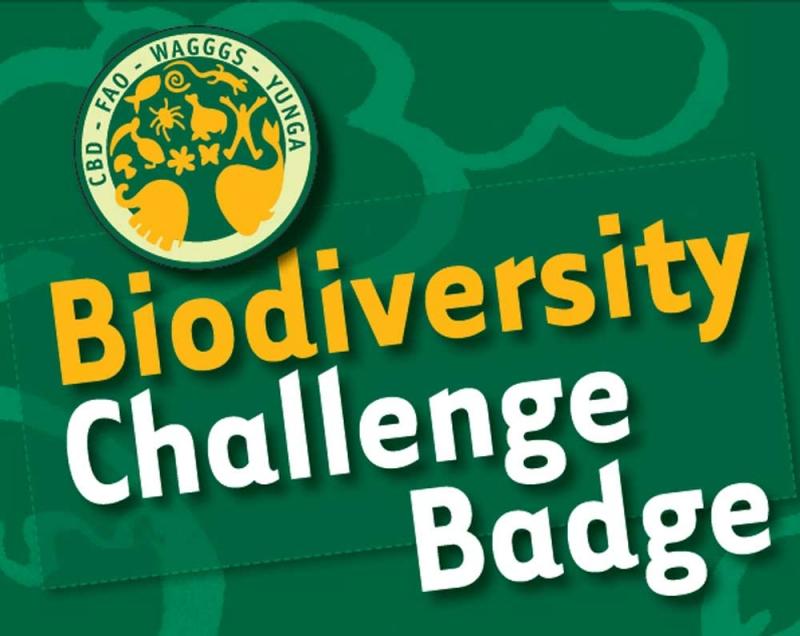 CHALLENGE 3  Biodiversity  Challenge Badge