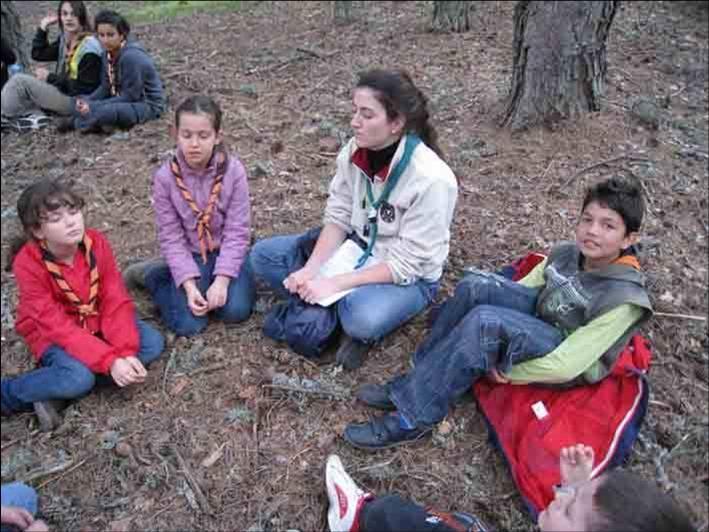 CHALLENGE 6: Forests Challenge Badge